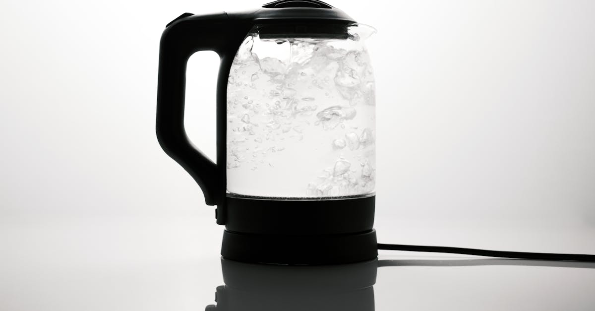 Pros and Cons of Biomass Boilers for Homeowners